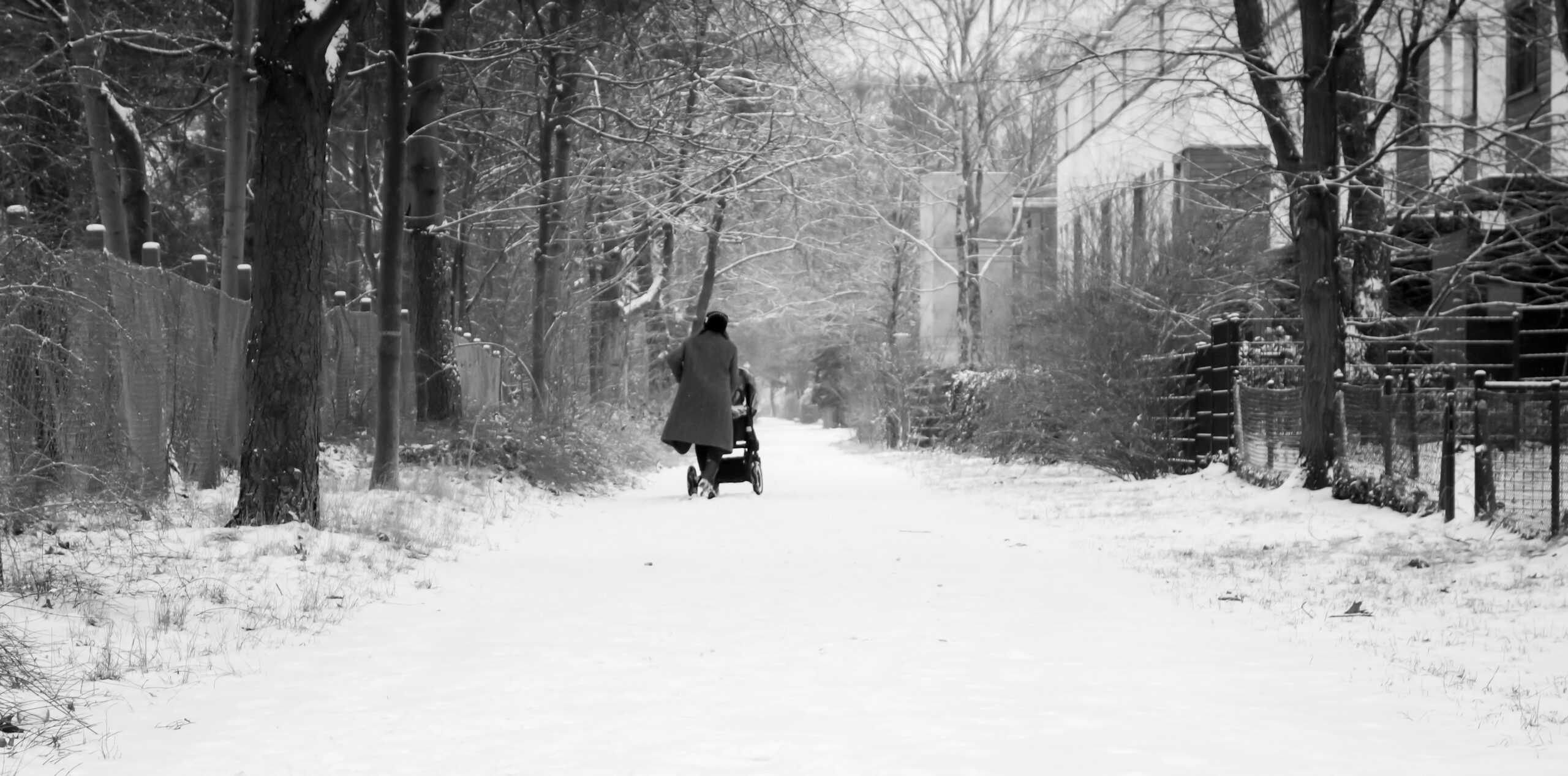 Guida alla fotografia in bianco e nero per paesaggi innevati